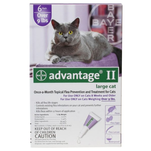 advantageiipurplecat