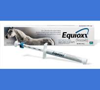 equioxxpaste