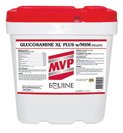 glucosaminexlplusmsm_2