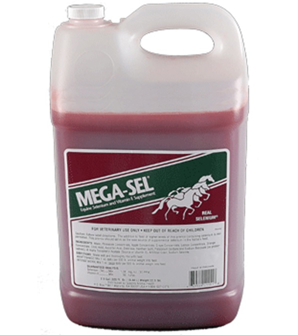 megasel3gal