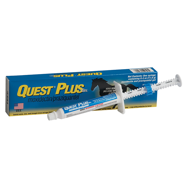 questplus