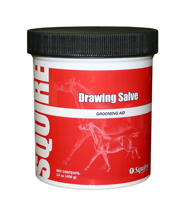 squiredrawingsalve14oz