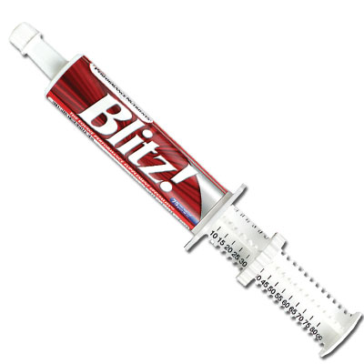 blitzpastecomfortblend