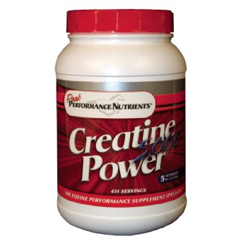 creatinepower5000_1_1