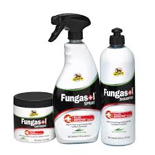 fungasolgroup_2