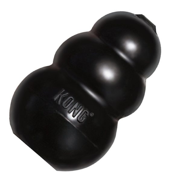 kongextreme_1