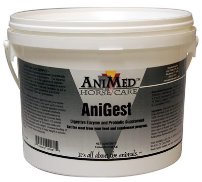 anigest_1