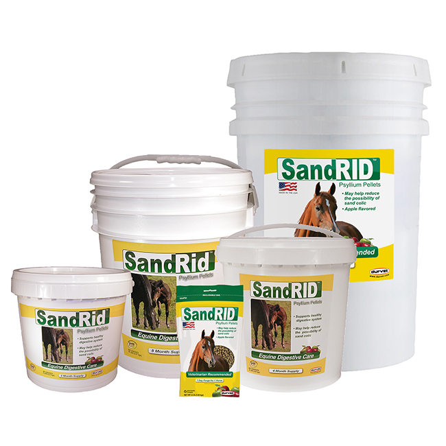 sandrid_1_1