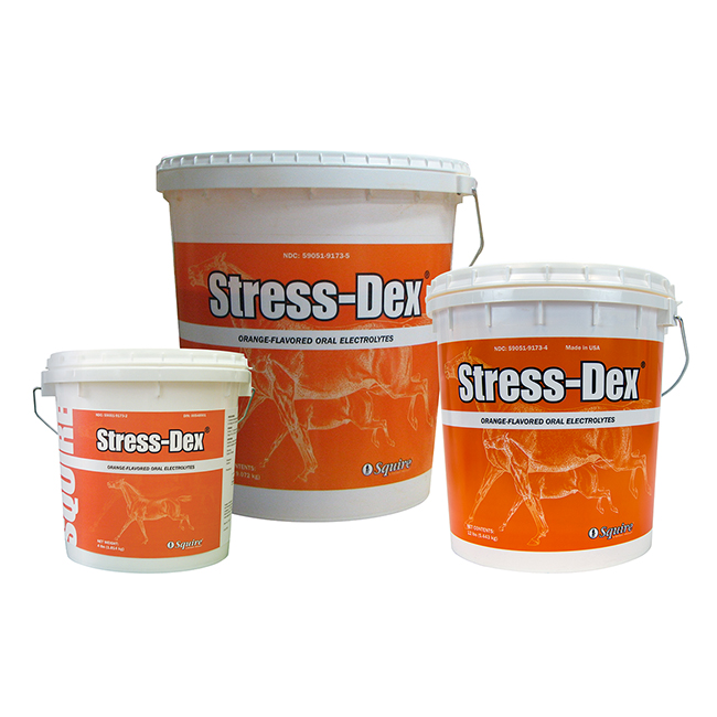 stressdex_1_1