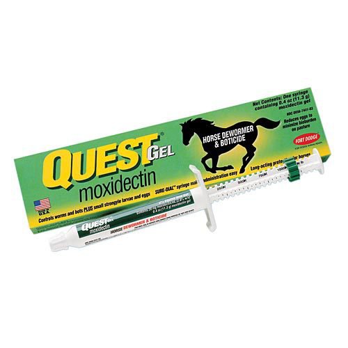 questgel