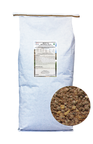 beef21mineralplus_2