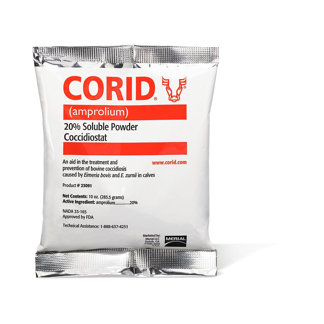 coridpacket_3