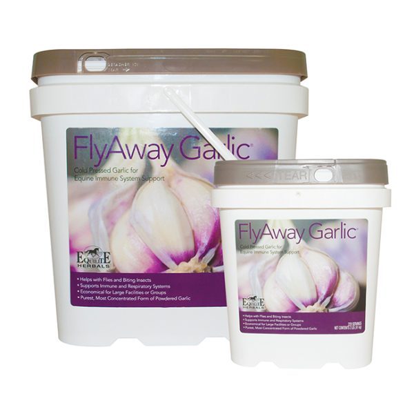 flyawaygarlic_2