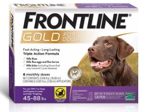 frontlinegoldpurple_2