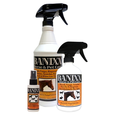 banixxhorse_petcare_1