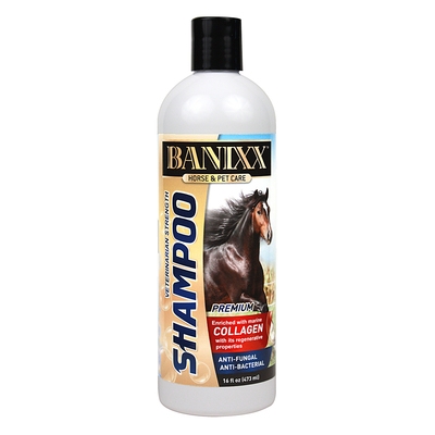 banixxshampoo