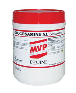 products mvpglucosaminexl_1