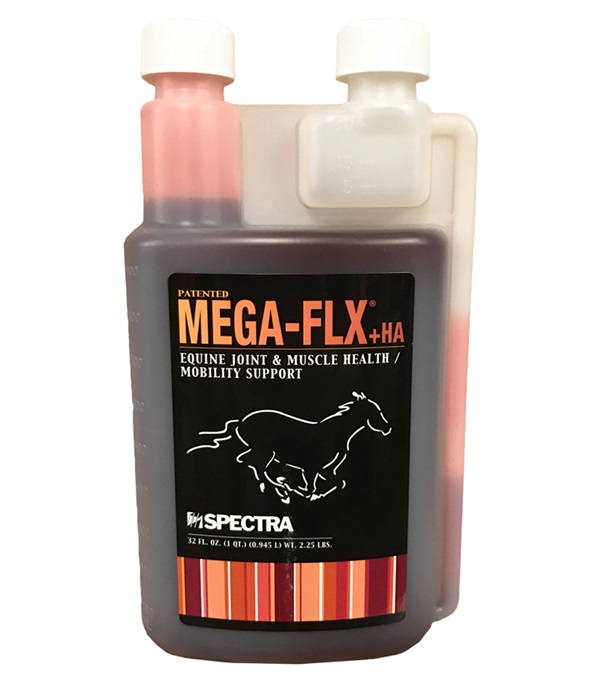 Megaflxha