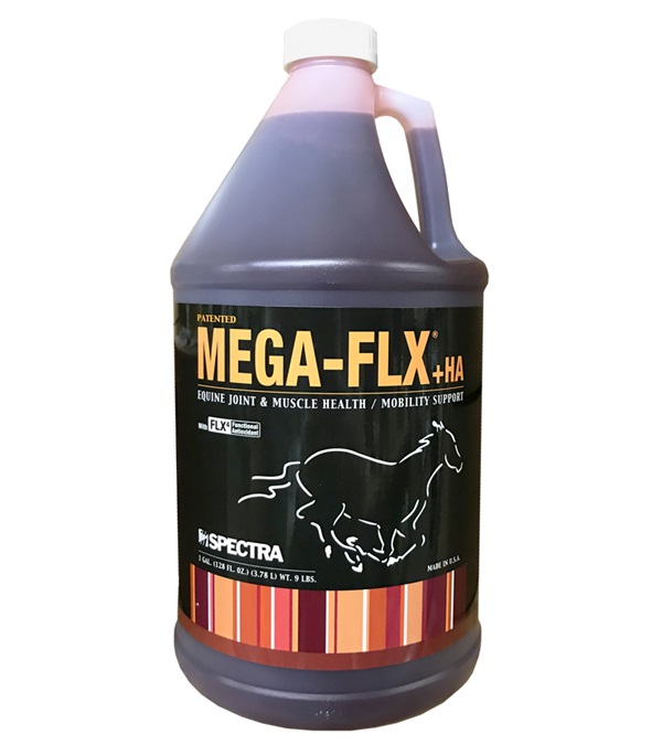 Megaflxhagal