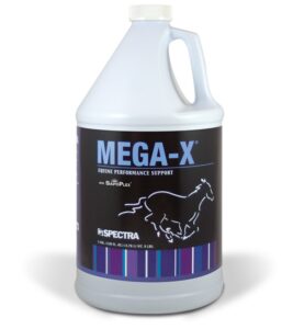 Megaxgal