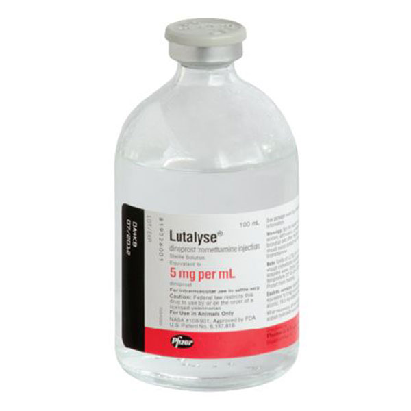 Lutalyse100ml