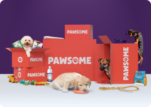 Pet Personalized Health Wellness Pack
