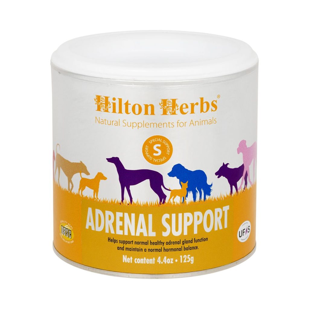 Adrenalsupportdogs