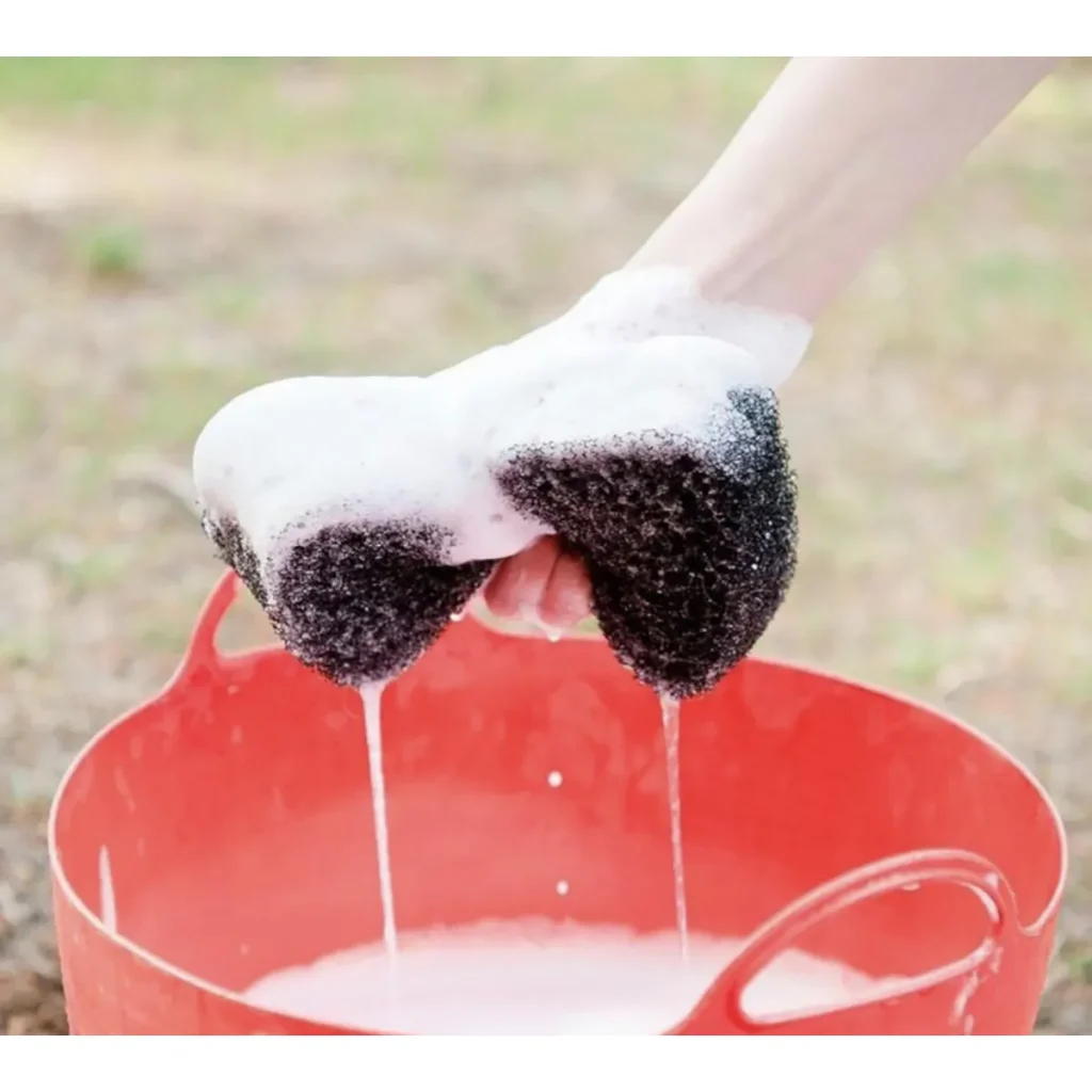 Tigerstonguehorsegroomer6