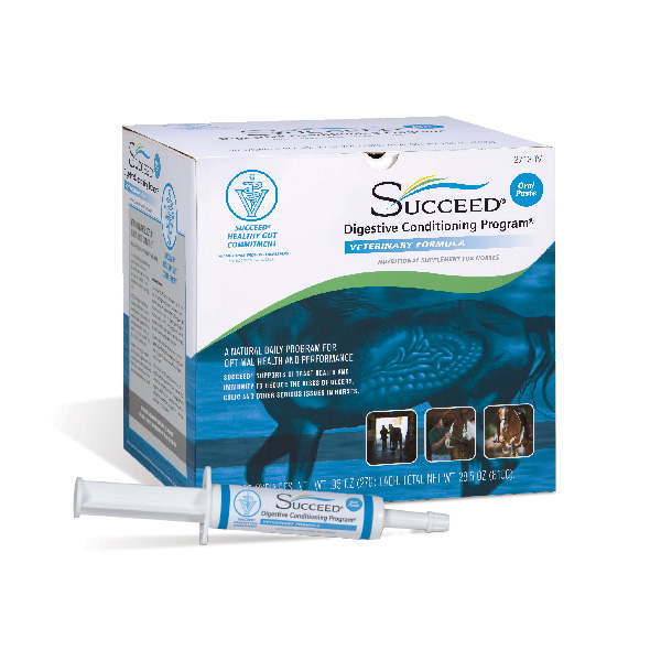 Succeedpastevfbluebox