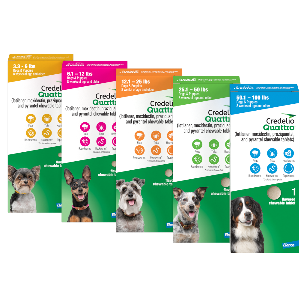 Credelio Quattro Group