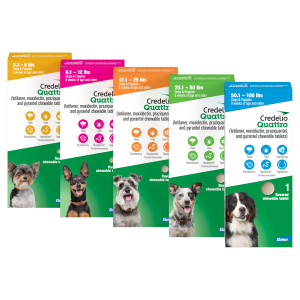 Credelio Quattro Group