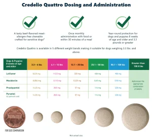 Credelioquattroinfo
