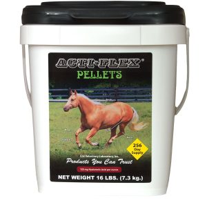Actiflexpellets16lbbucket