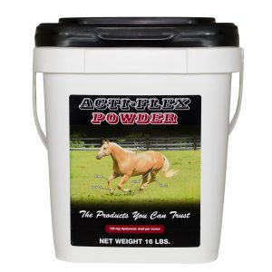 Actiflexpowder16lbbucket