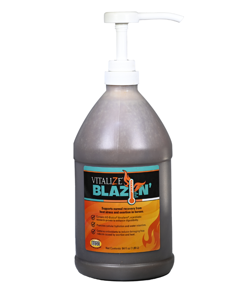 Blazin64oz
