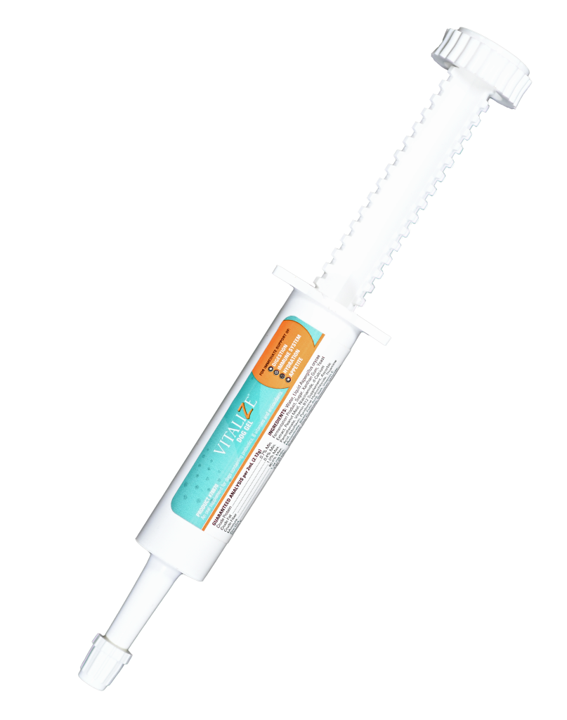 Vitalizedoggel