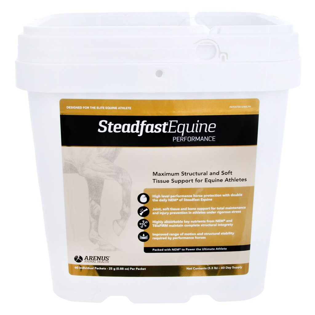 Steadfastequineperformance