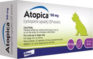 Atopicadogpurple