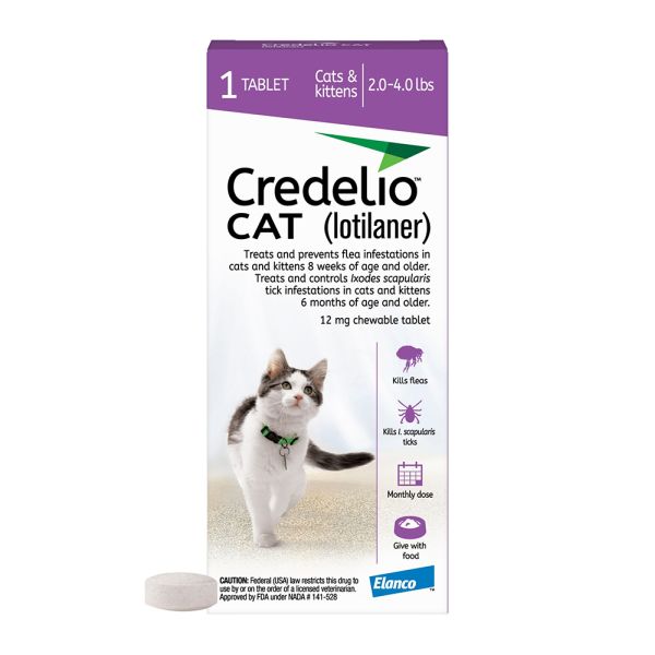 Credeliocatpurple 1