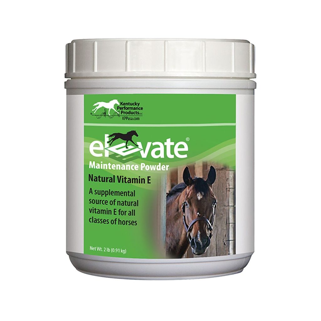 Elevatemaintenancepowder2lb