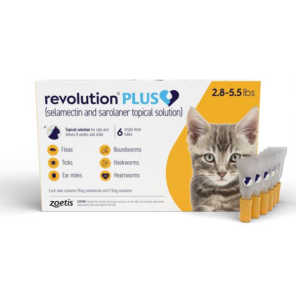 Revolutionpluscatyellow