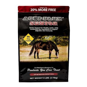 Actiflexsenior6lb