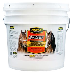 Augment20lb