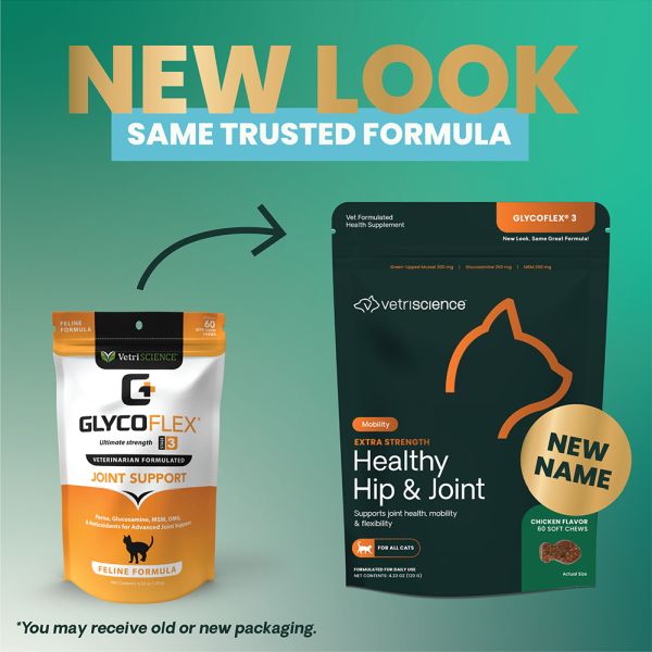 Healthyhipjointcatchews1