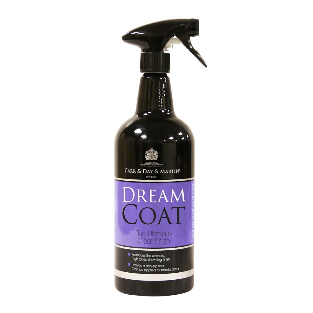 Dreamcoat1l